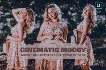 电影情绪人像后期调色Lightroom预设 Cinematic Moody Lightroom Presets