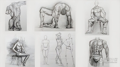 人体解剖学人物铅笔素描绘画技术训练视频教程 Figure Drawing Course From Beginner to Advanced