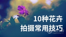 摄影教程 摄影入门之10种花卉拍摄技巧中文教程