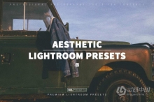 电影胶片美学lr预设 AESTHETIC FILM – Mobile & Desktop Lightroom Presets