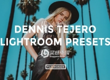 充满活力的肖像外景复古人像LR预设 Dennis Tejero Lightroom Presets