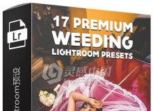 17组专业婚礼Lightroom预置 Premium Wedding Lightroom Presets