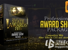 颁奖盛典电视包装AE模板 Videohive Awards Show Pack